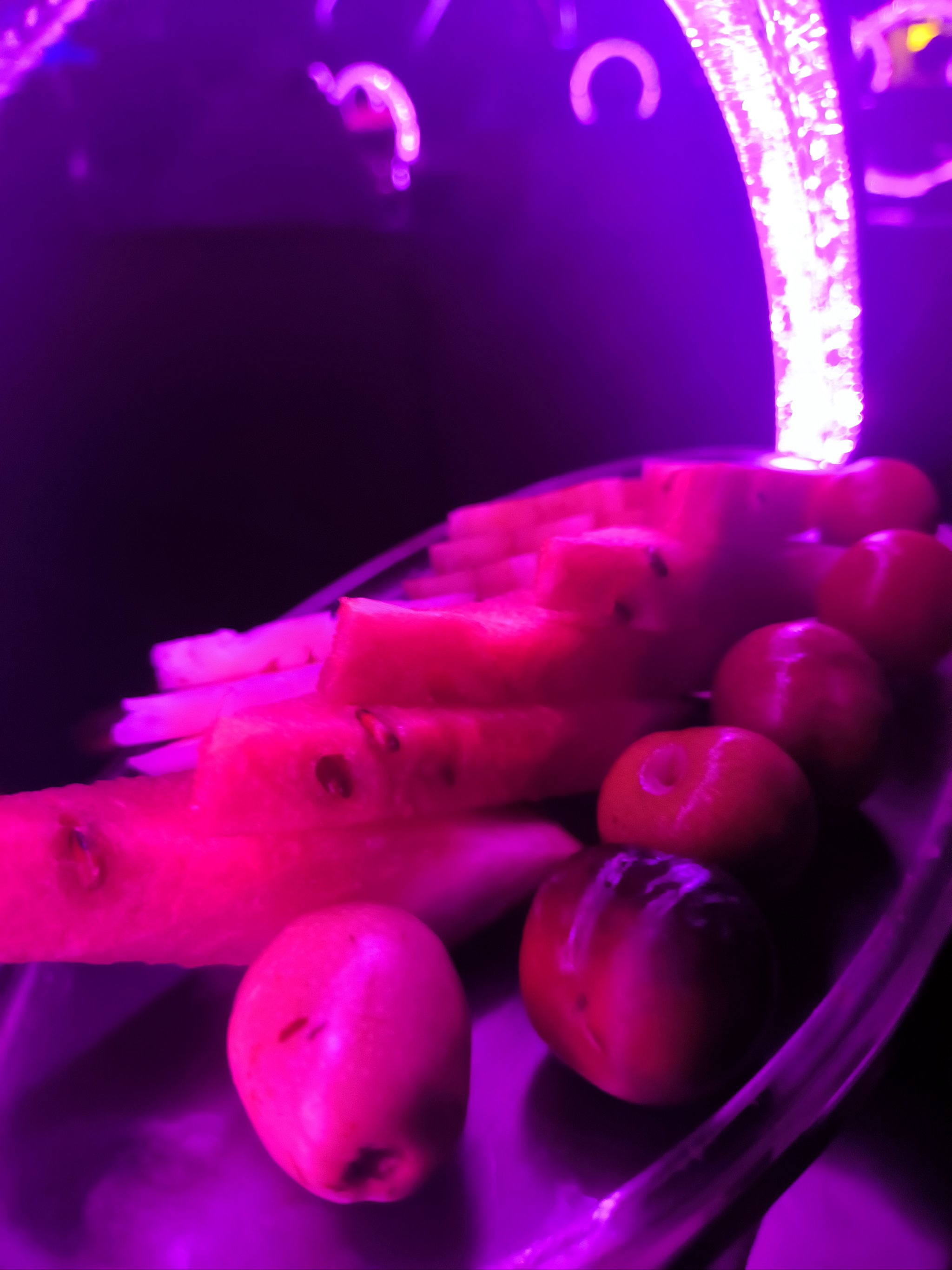 衡水商务ktv：性价比首选-饶阳县ktv预定